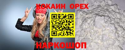 гашик Кимры