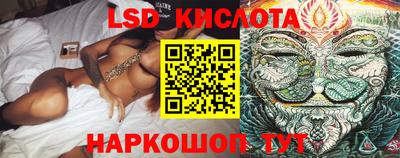 герыч Кингисепп