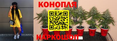 ПСИЛОЦИБИНОВЫЕ ГРИБЫ Кинель