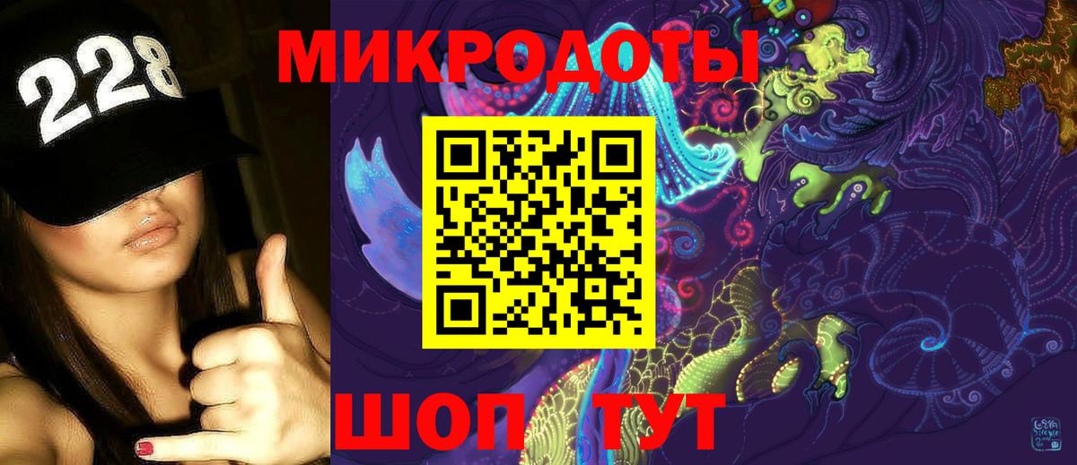 Галлюциногенные грибы Psilocybe  Галлюциногенные грибы мицелий  Тольятти  Вход с VPN 